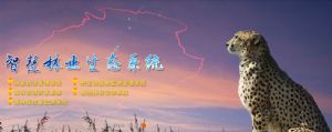 森林卡口語音：森林消防標準之聯網系統要求